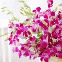 wh3452.webp