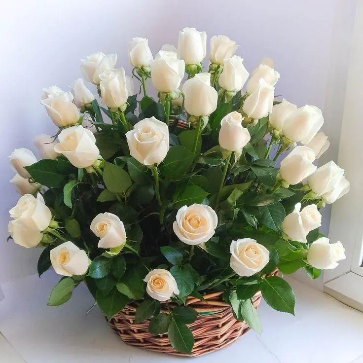 Elegant White Rose Basket Arrangement