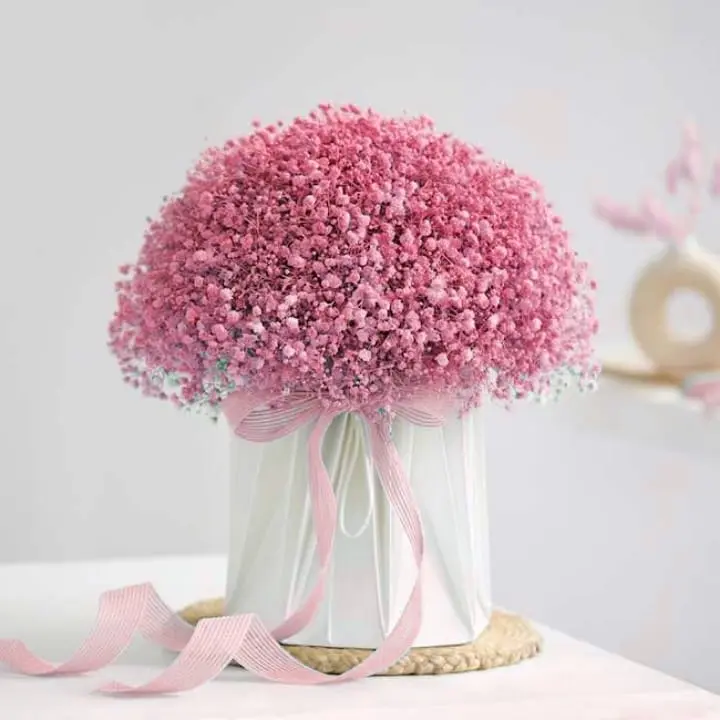 Elegant Pink Baby’s Breath Bouquet
