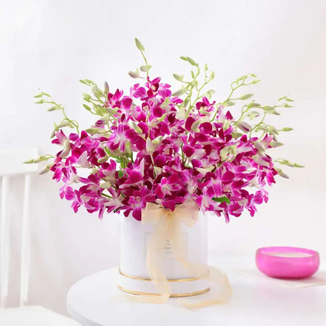 Royal Purple Orchid Box