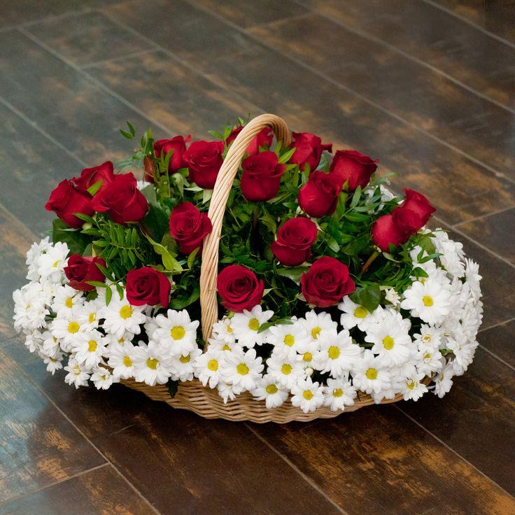 ROSES & DAISIES HARMONY