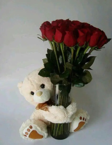 Cuddles & Roses – Teddy Bear Hug with 12 Red Roses
