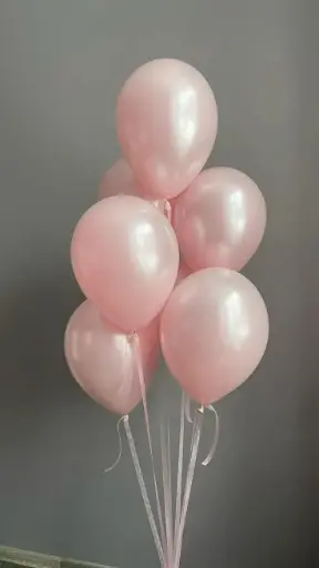 Pastel Pink Balloon Set – 6pcs